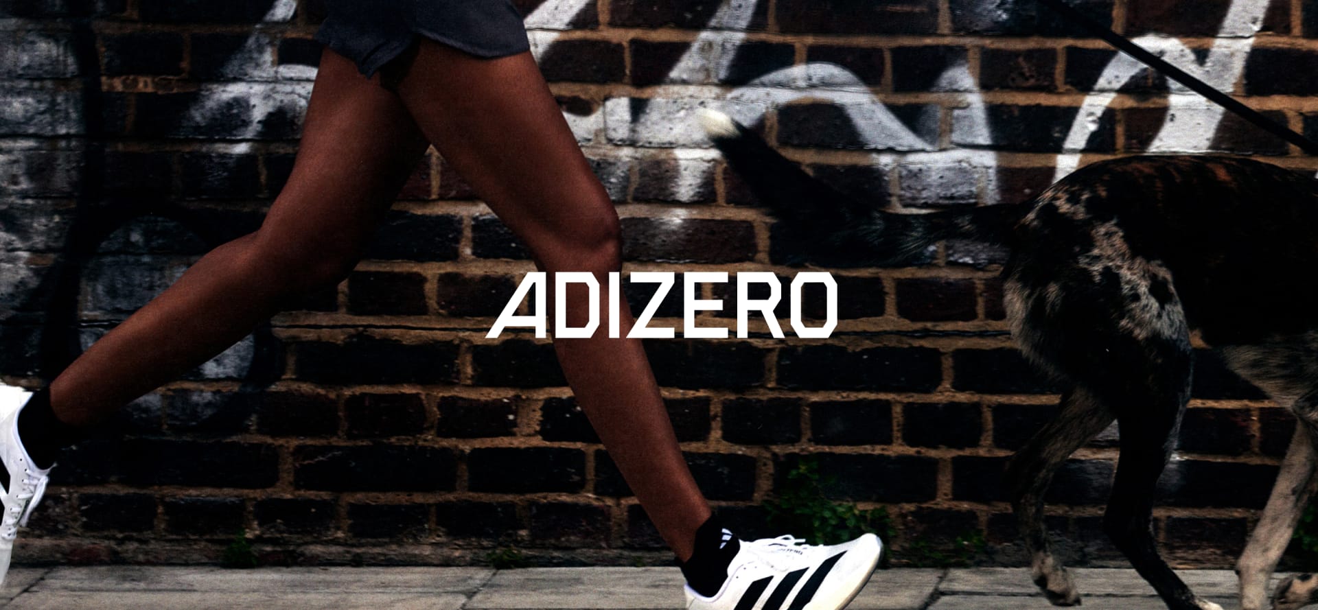 Adidas Adizero Evo SL: la scarpa che unisce velocità ed equilibrio