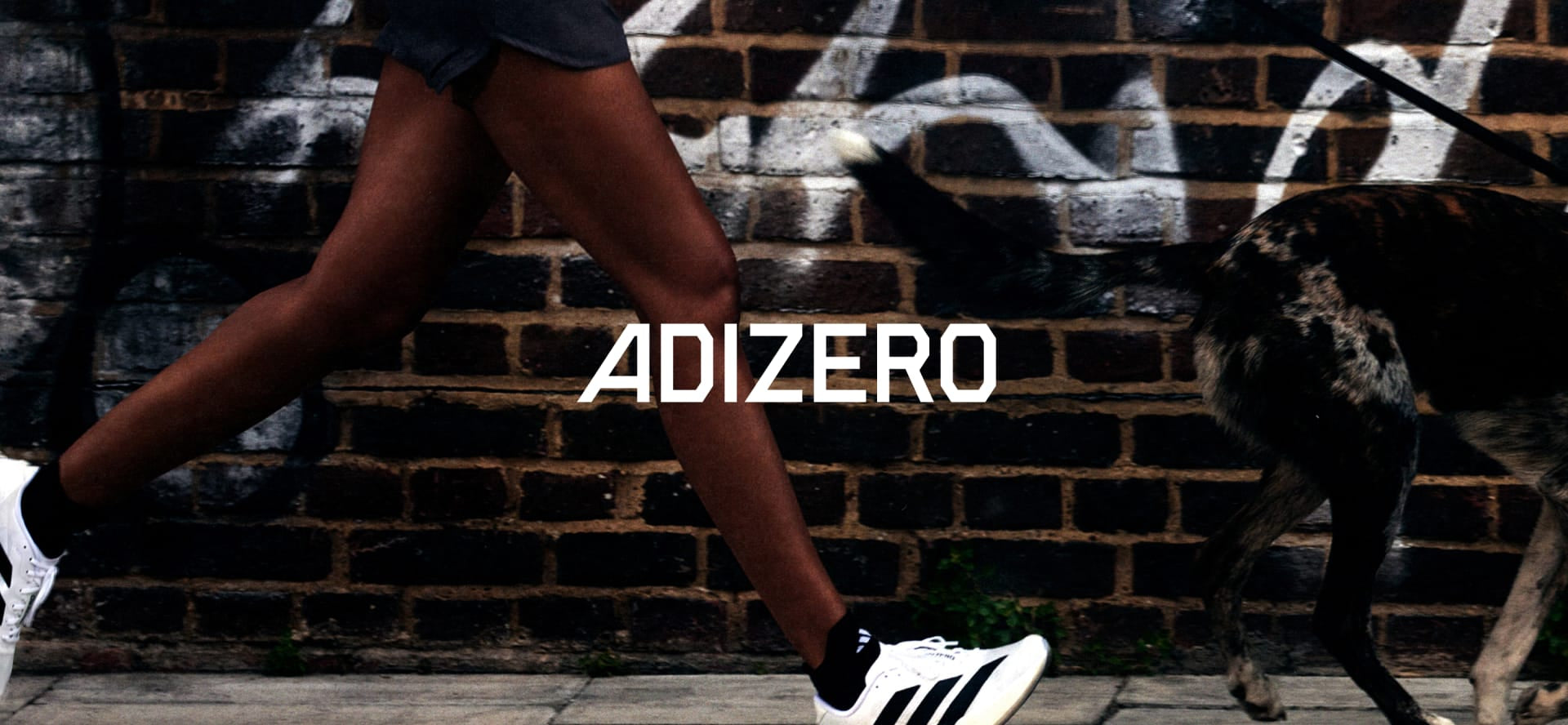 Adidas Adizero Evo SL: la scarpa che unisce velocità ed equilibrio