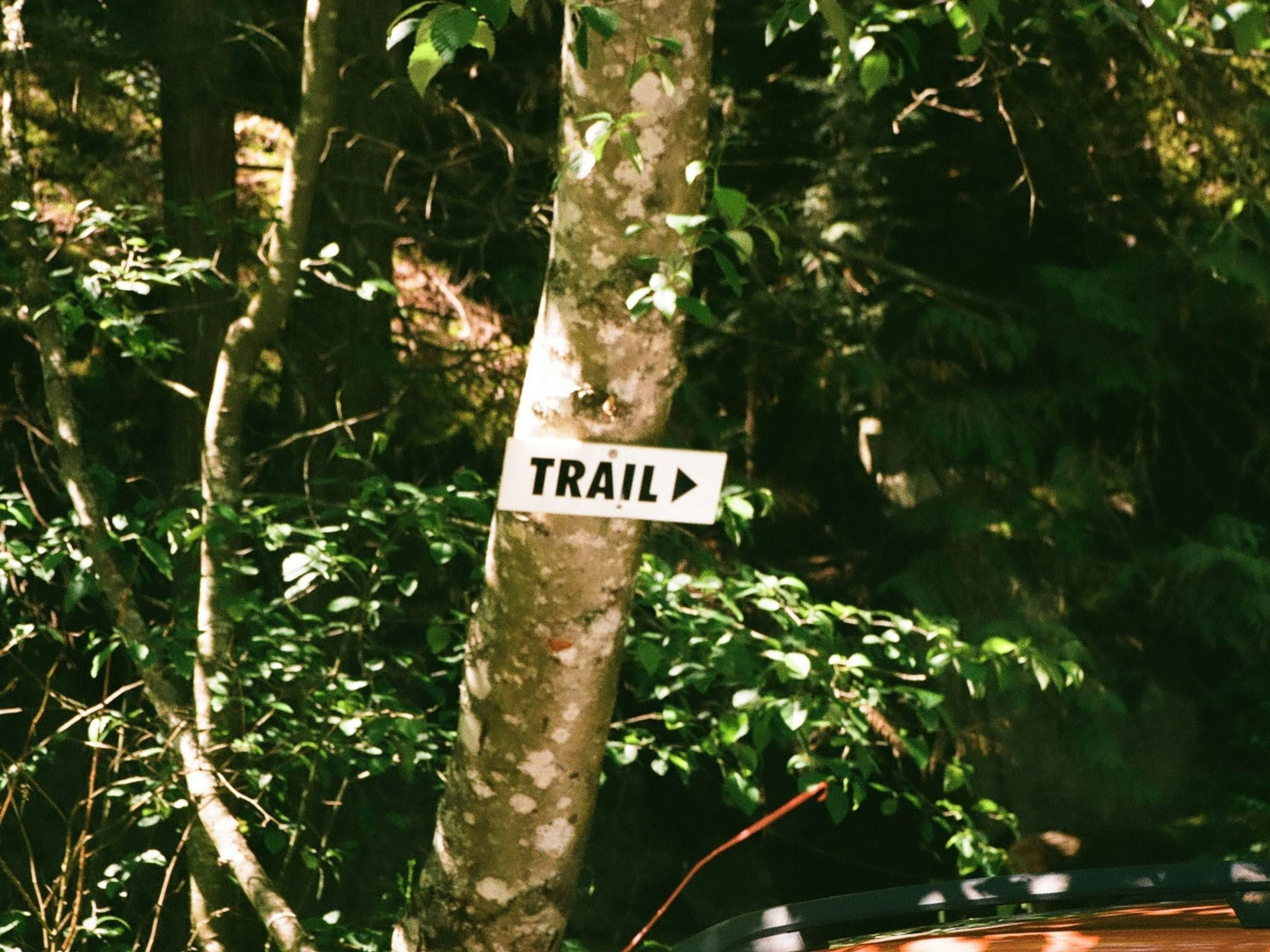 Trail Running in Puglia: 5 Sentieri Che Devi Provare Almeno Una Volta