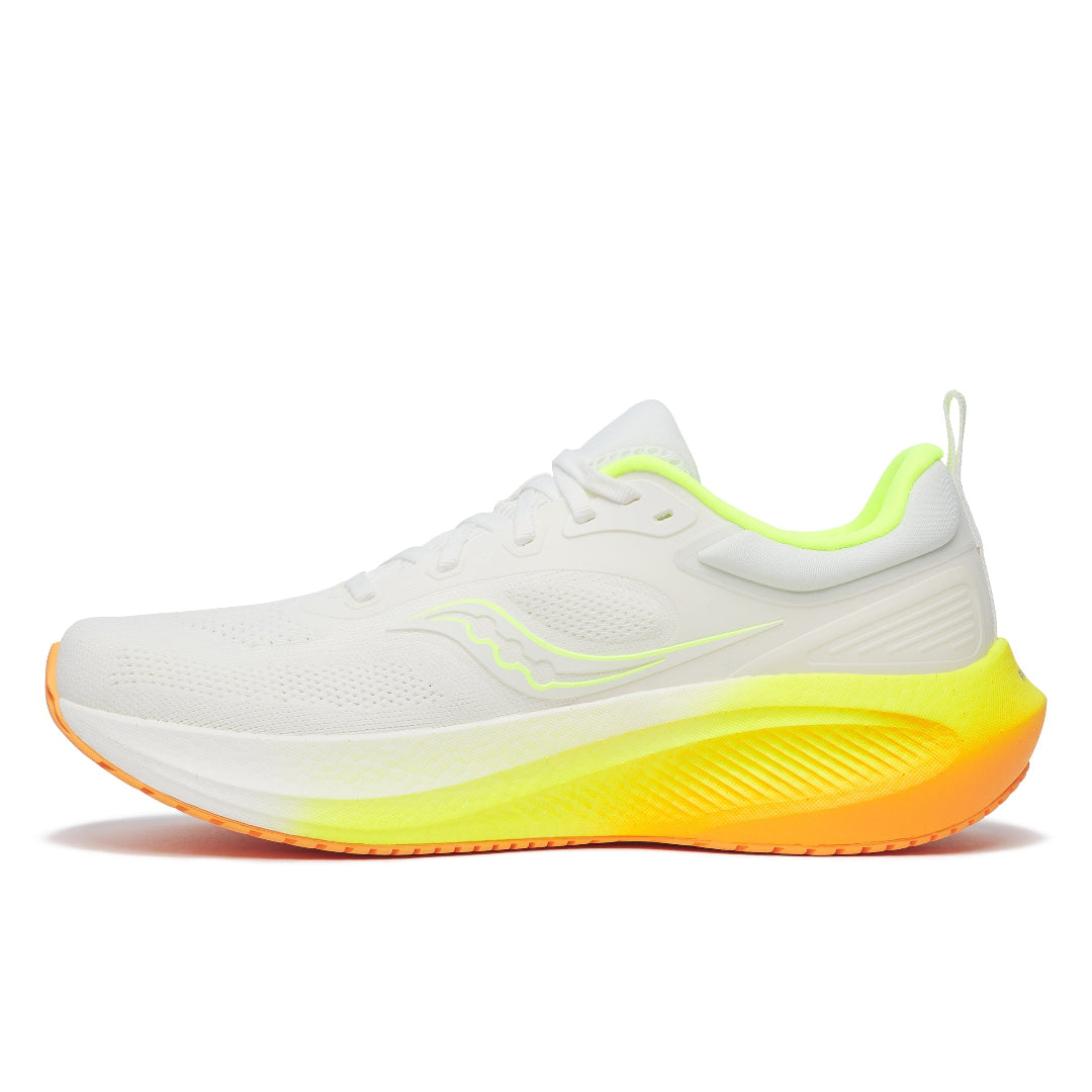 SURGE 3