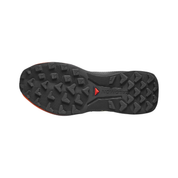 SALOMON GENESIS 2 DONNA