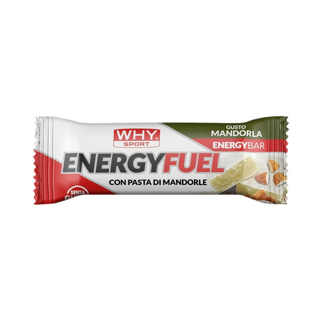 W338_ENERGY-FUEL-mandorla-Photoroom.jpg